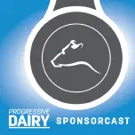 Recent Research from Simplot Animal Sciences and Texas Tech University Helps to Maximize Beef-on-Dairy Calf Value (Sponsored Podcast)