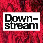 Downstream: Exposing The True Costs of AI w/ Karen Hao