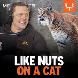 Ep. 826: Like Nuts on a Cat