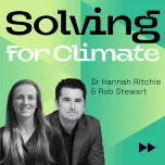 Dr Sasha Luccioni: The climate cost of AI
