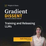 How EleutherAI Trains and Releases LLMs: Interview with Stella Biderman